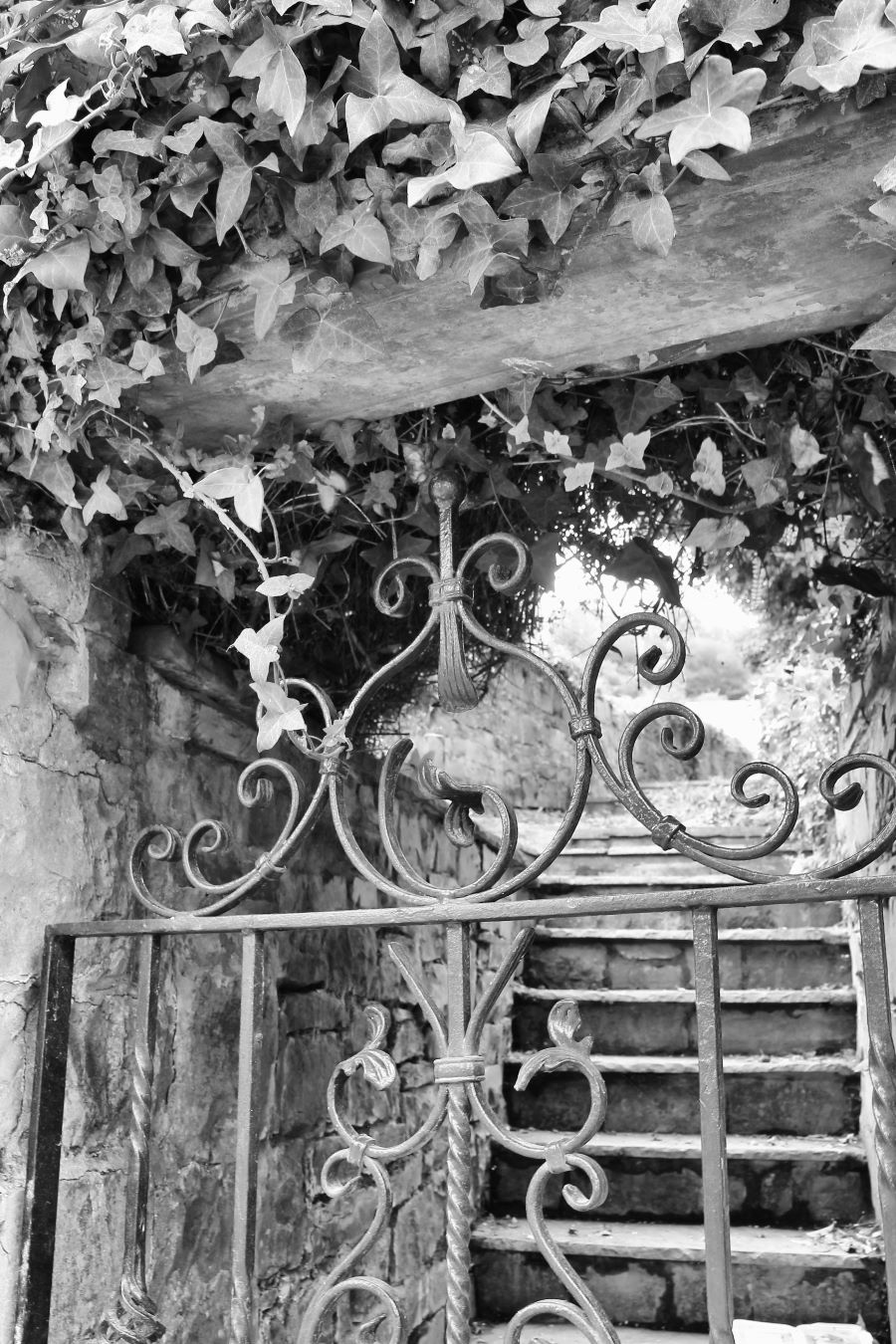 "....to view or consider with continued attention....."