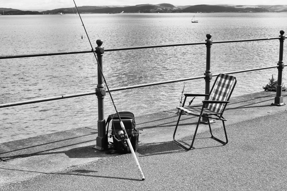 "....to view or consider with continued attention....."