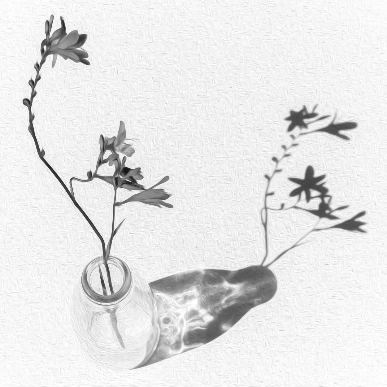 "......to see in black and white is a delight for the soul" - Andri Cauldwell