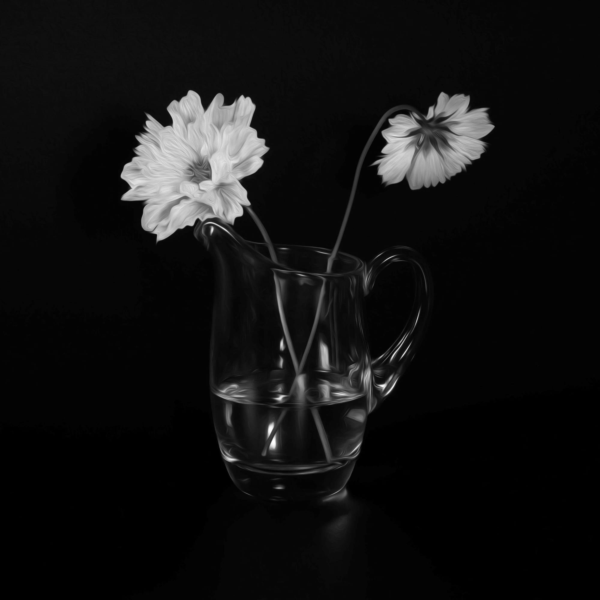 "......to see in black and white is a delight for the soul" - Andri Cauldwell