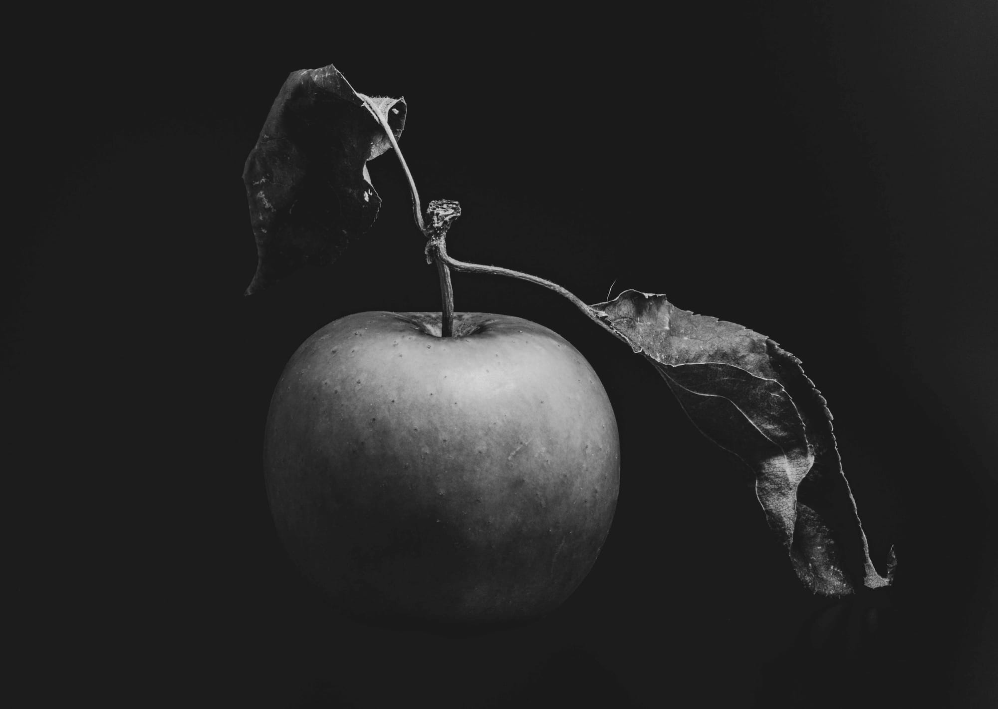 "......to see in black and white is a delight for the soul" - Andri Cauldwell