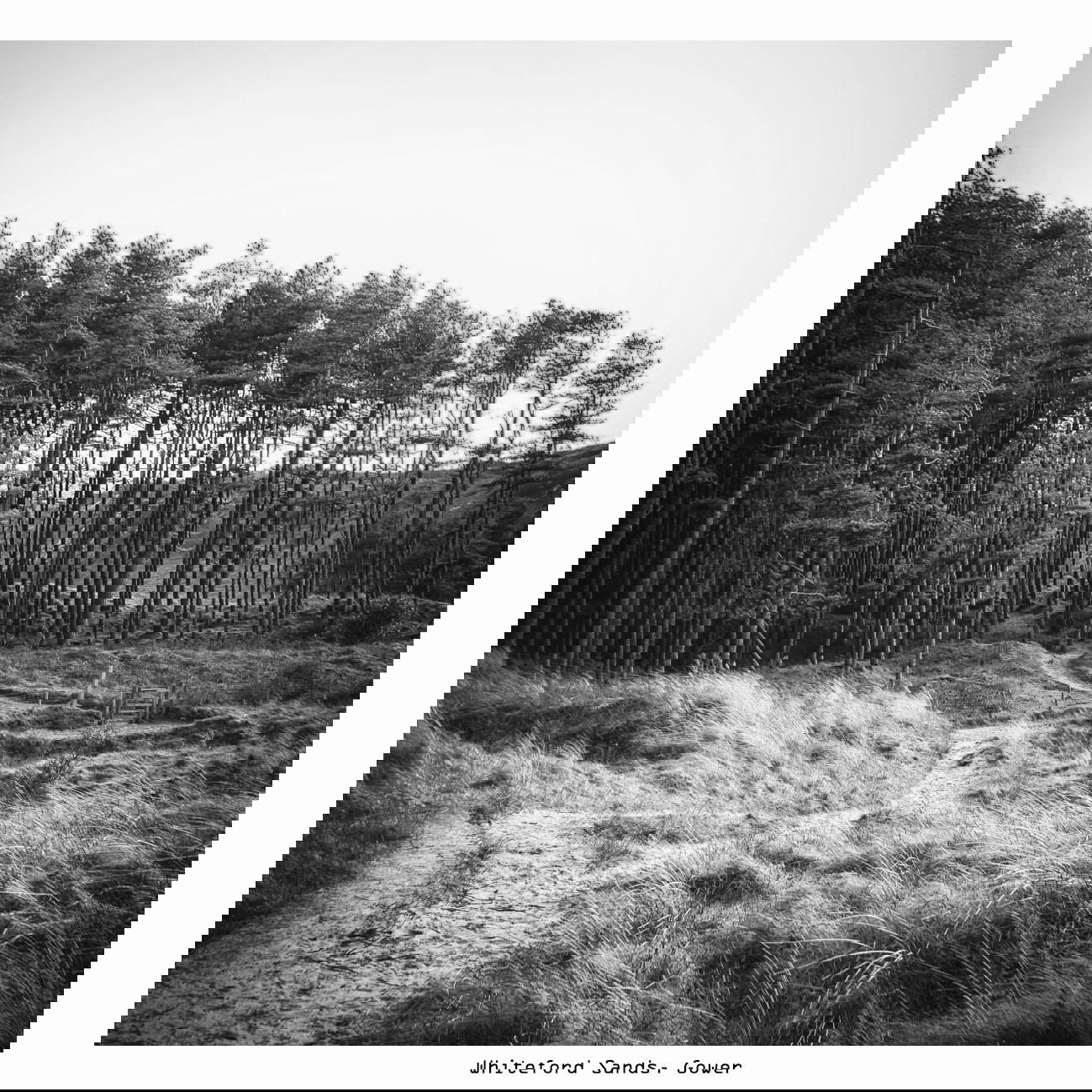 Scenes from the Path in its 10th year