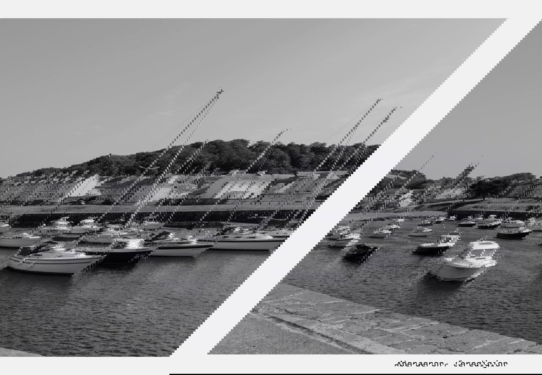 Scenes from the Path in its 10th year