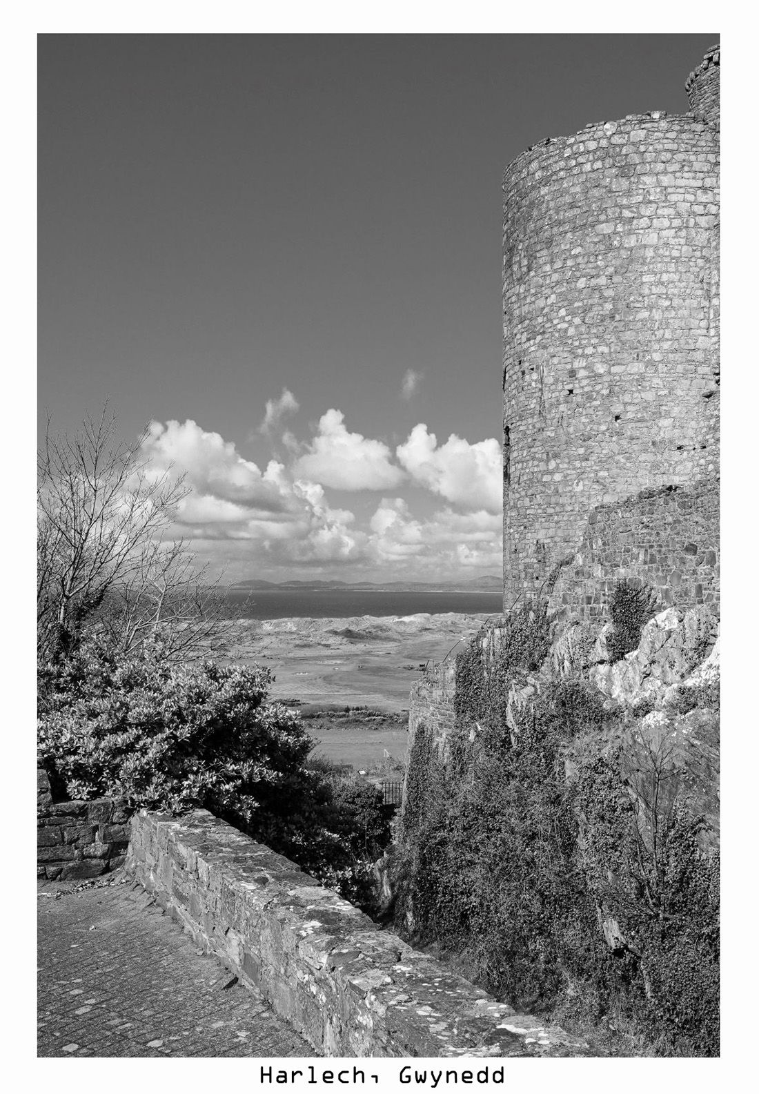 Scenes from the Path in its 10th year