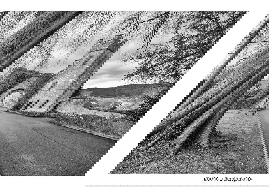 Scenes from the Path