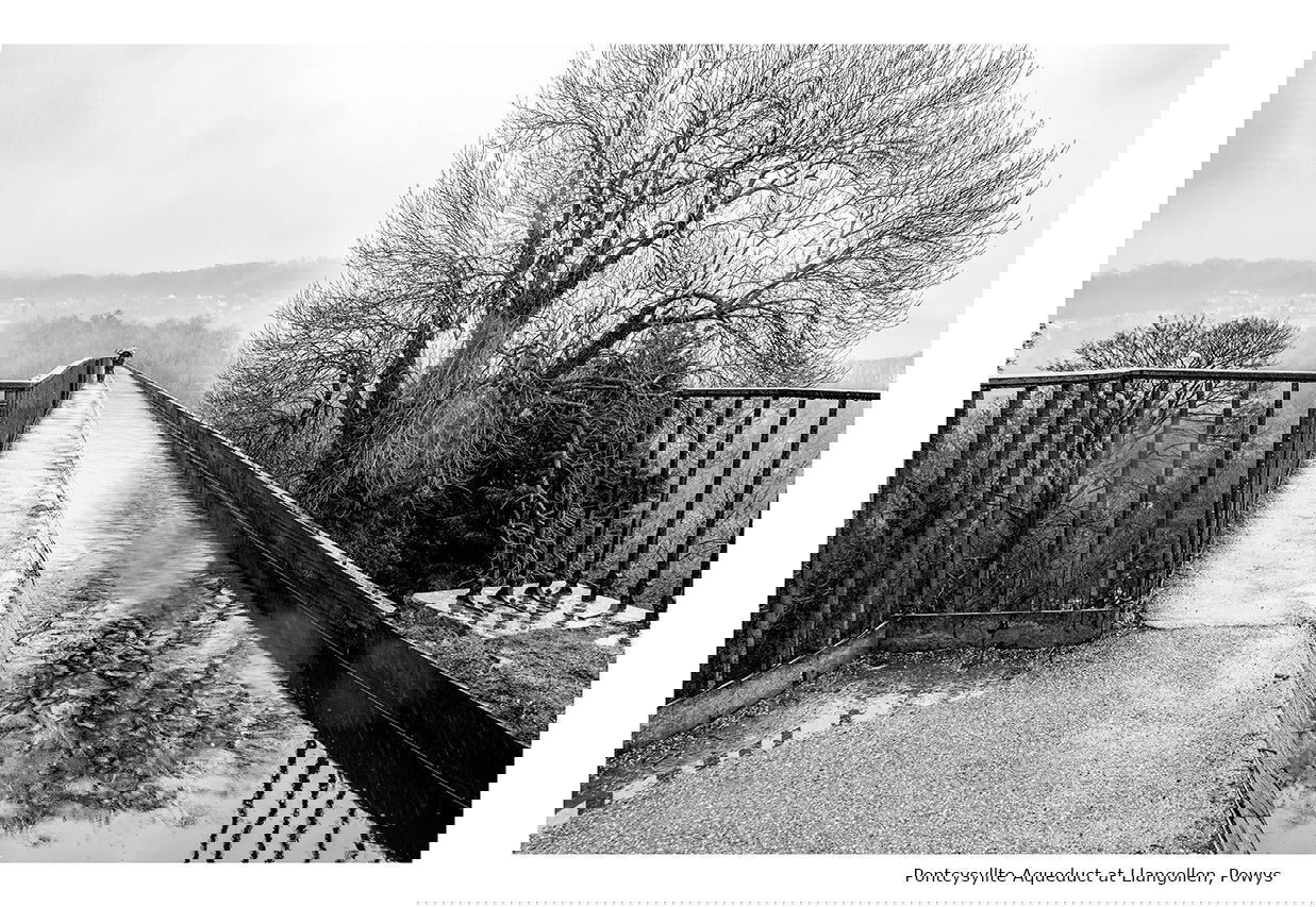 Scenes from the Path