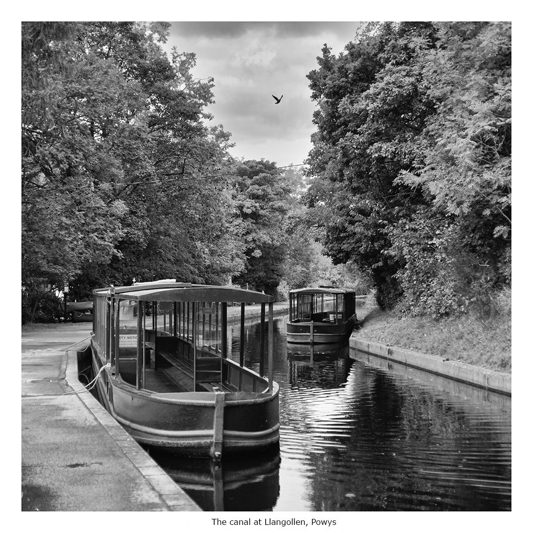 Scenes from the Path