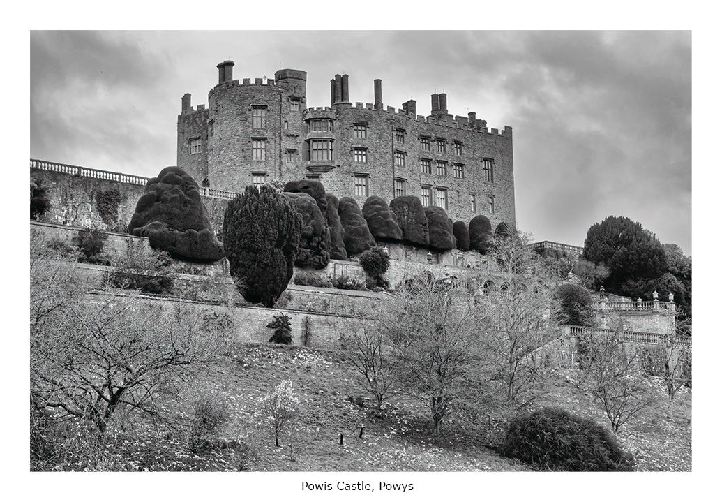 Scenes from the Path