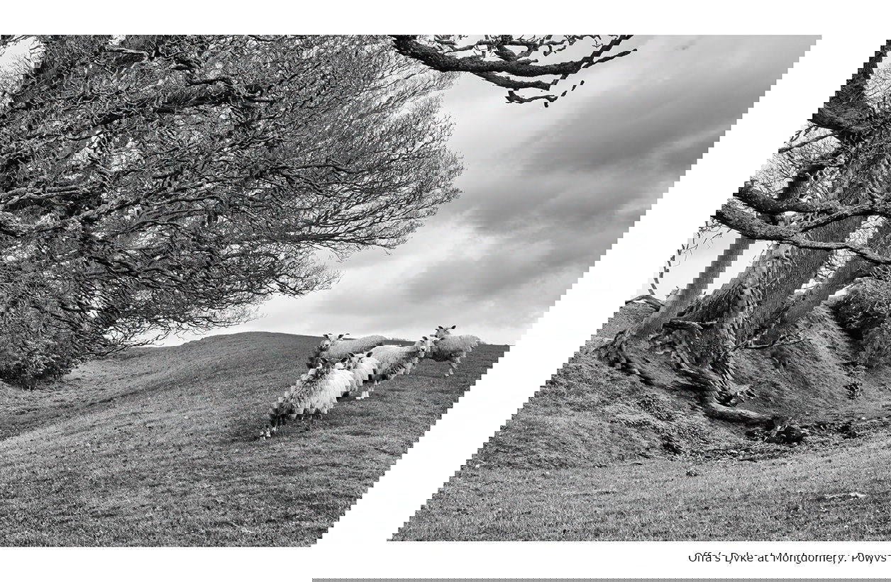 Scenes from the Path