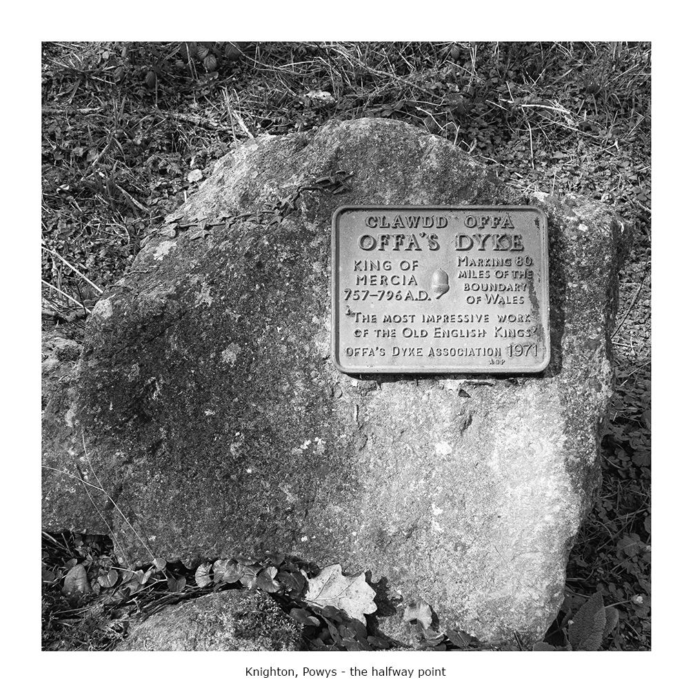 Scenes from the Path