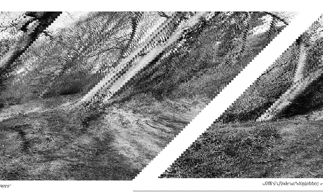 Scenes from the Path