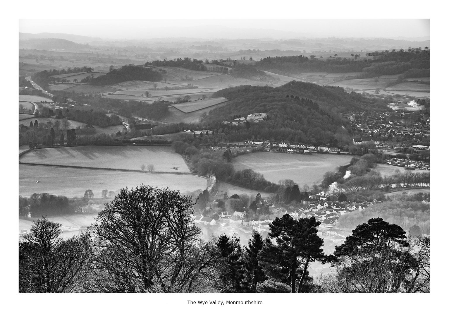 Scenes from the Path