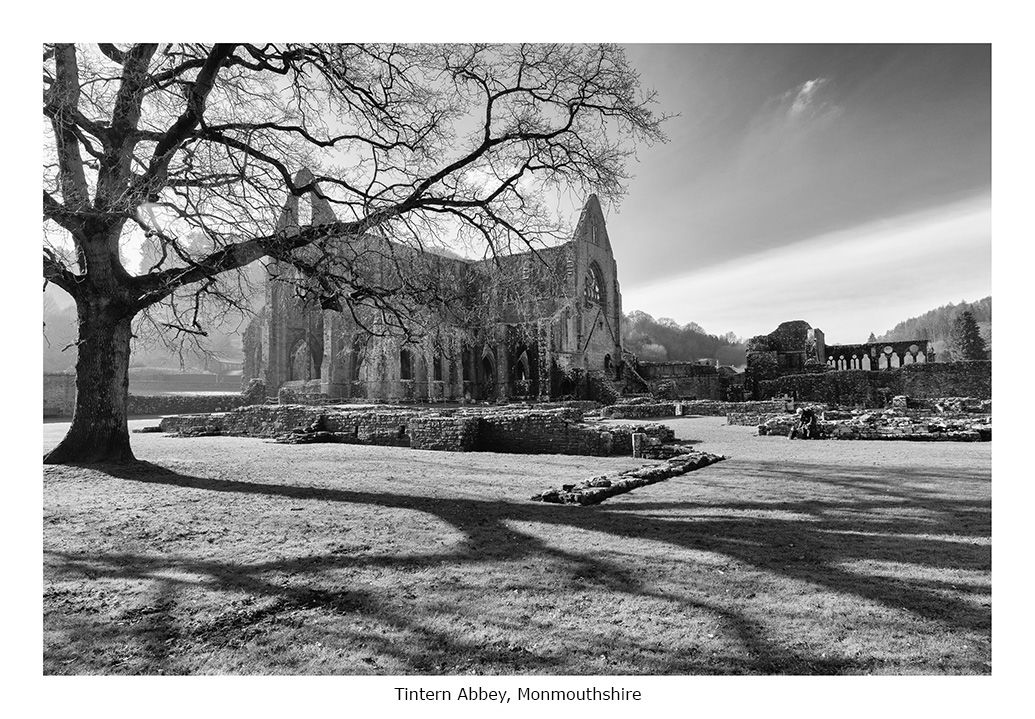 Scenes from the Path