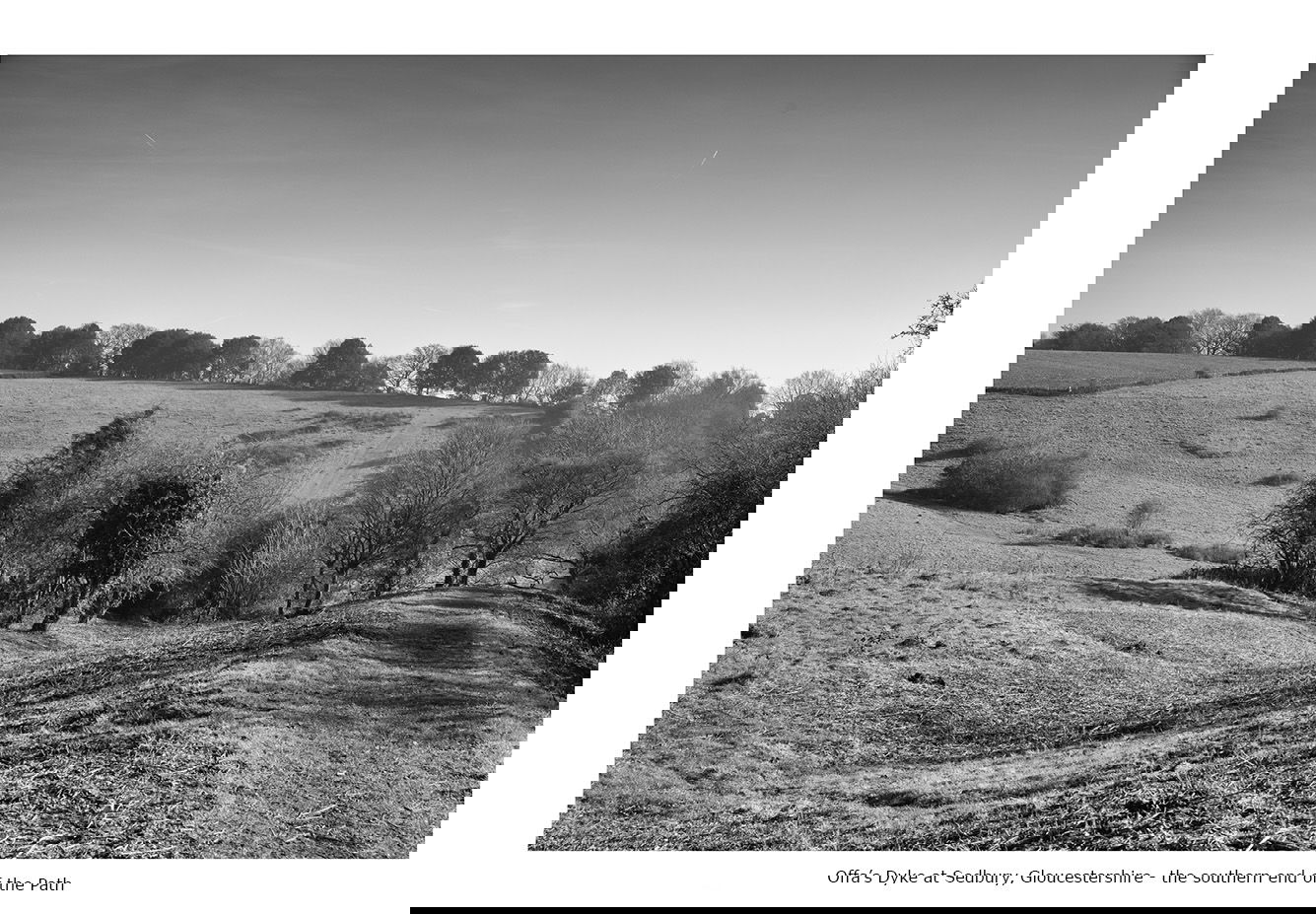 Scenes from the Path