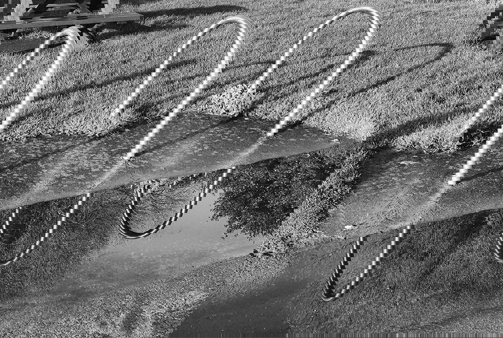 "....to view or consider with continued attention....."