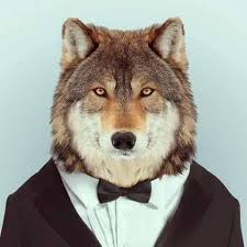 Le loup