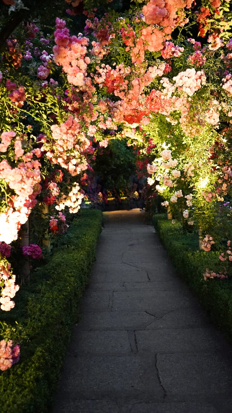 Garden Nursery