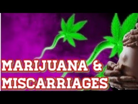 Male Marijuana Use and Miscarriages