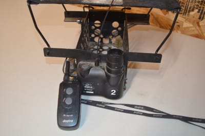 Bird Launchers-an indispensable tool in training with pen raised birds.