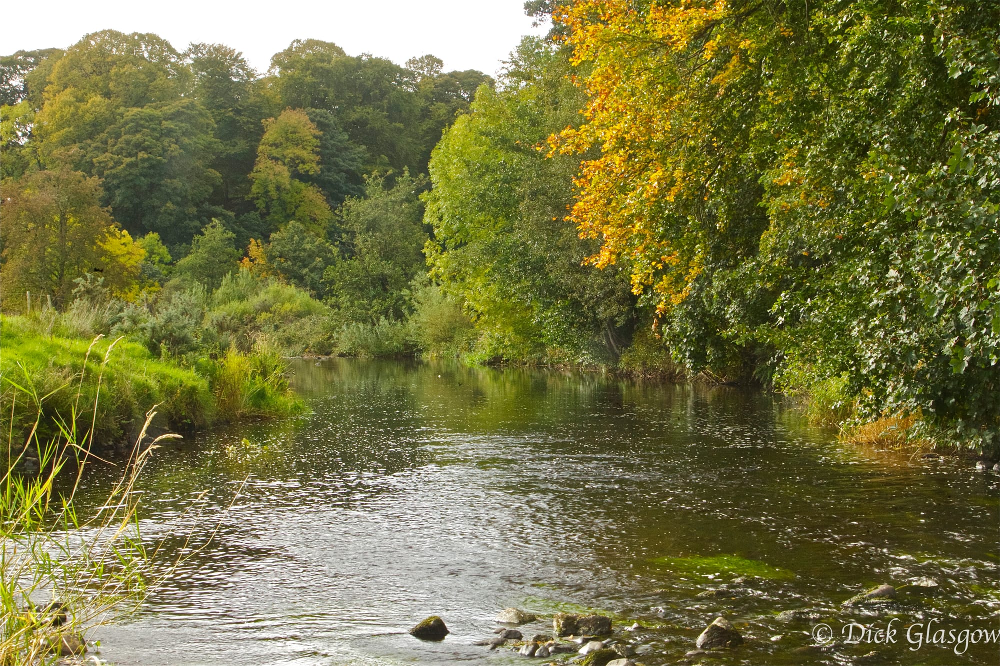 The River Bush from source to sea.