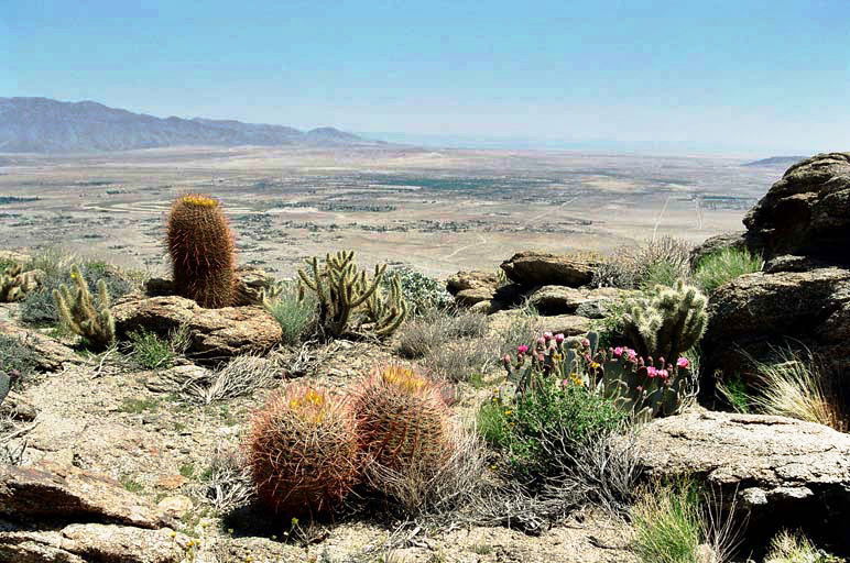 Welcome to Borrego Springs. Catch this view when you drive down the 11 mile Montezuma grade dropping nearly 3,500' from an elevation of 4,216'.
