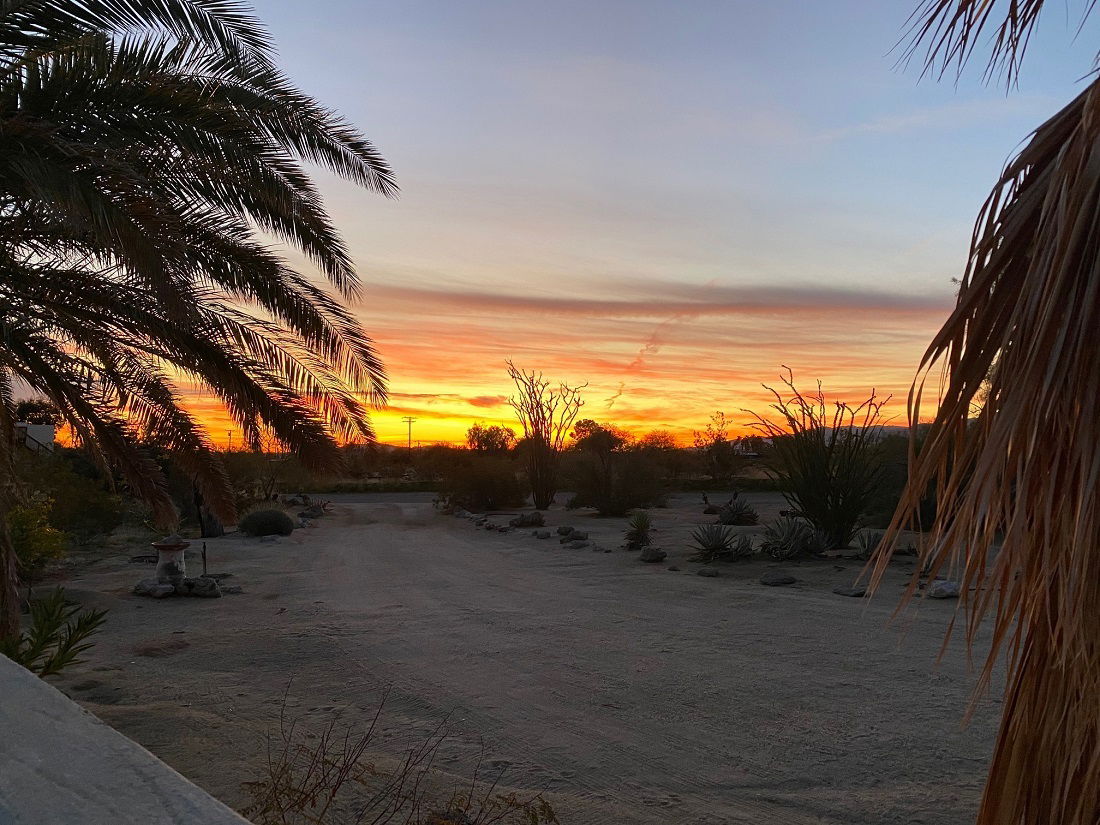 Slept in for a few moments? Sunrise a little later from our living room.