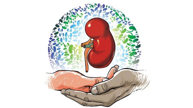 كيفية حماية 30٪ وظيفة الكلى ووقف مزيد من تلف الكلى