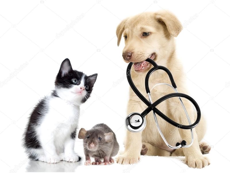 CONSULTÓRIO