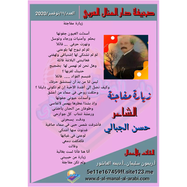 قصيدة ( زيارة مفاجئة ) بقلم الشاعر : حسن الجبالي