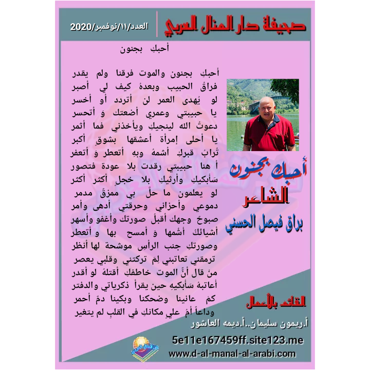 قصيدة ( أحبك بجنون ) بقلم الشاعر : براق فيصل الحسني