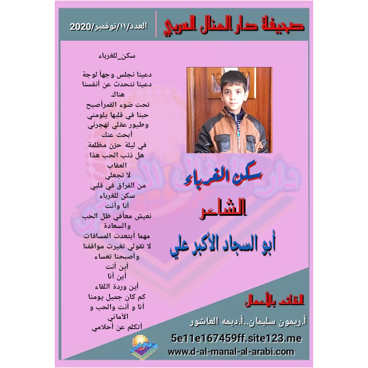 قصيدة ( سكن للغرباء ) بقلم الشاعر : أبوالسجاد الأكبر علي