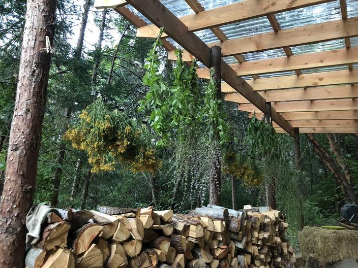 Lithia Park Medicinal and Edible Plant Walk