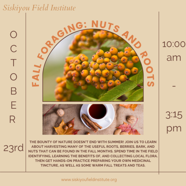 Fall Foraging: Nuts and Roots