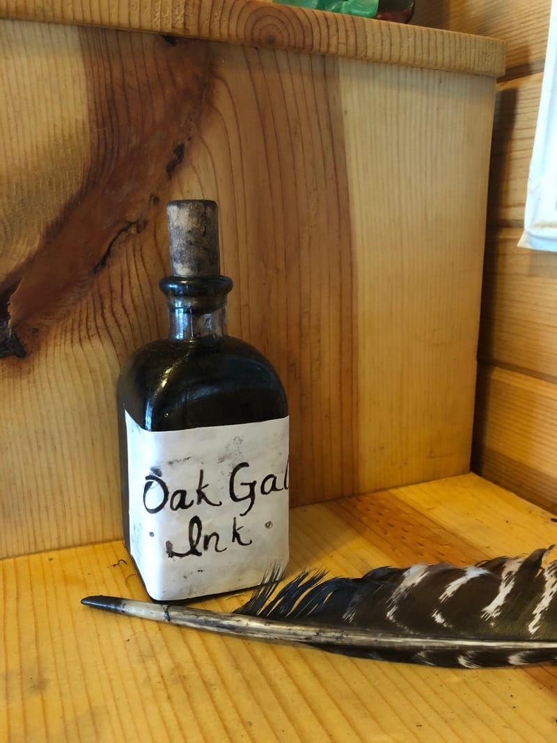 Botanical Ink and Pen Making Workshop