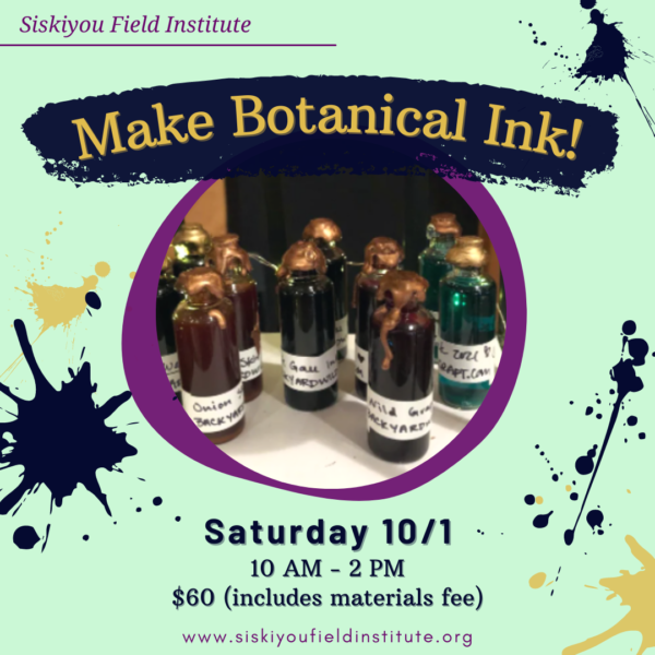 Make Botanical Ink!