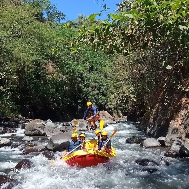 Rafting Songa