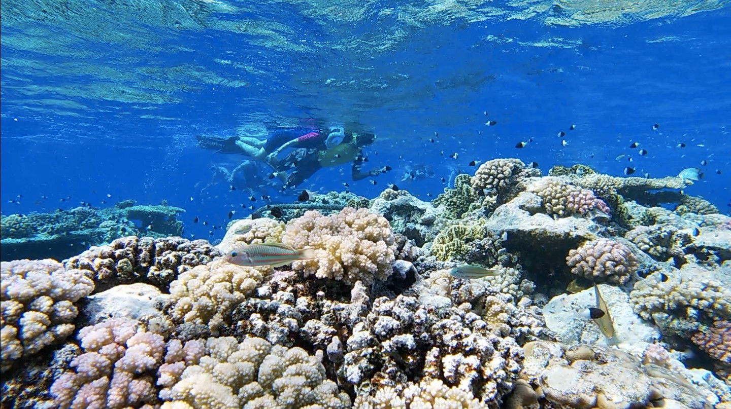 Snorkeling