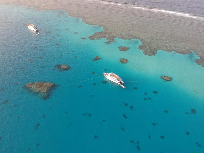 Sataya, Dolphin Reef