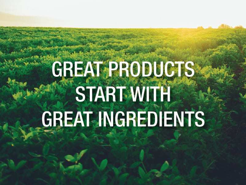 Δέσμευση για την Ποιότητα