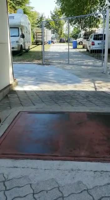 Vittoria Pomposa - 4 Agosto 2019 - Arrivo alla pesa