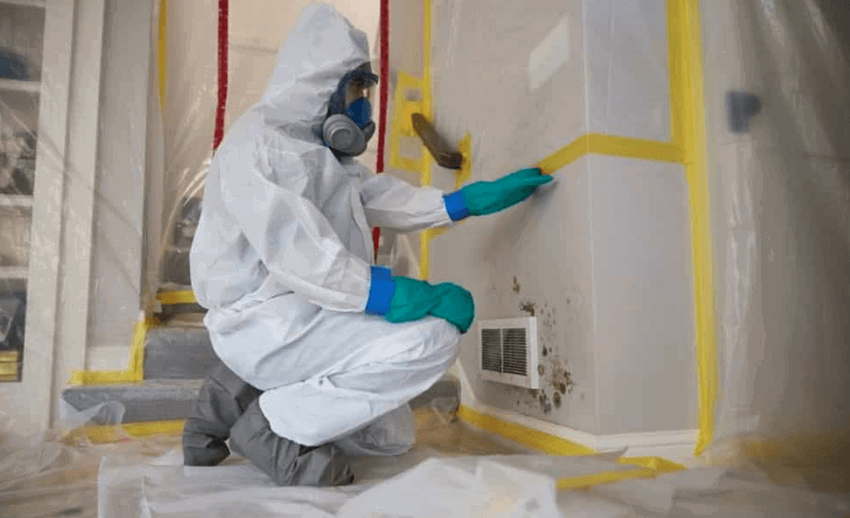 Mold Testing Services