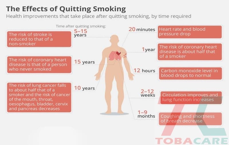 Bỏ thuốc lá bao lâu thì cơ thể bình thường