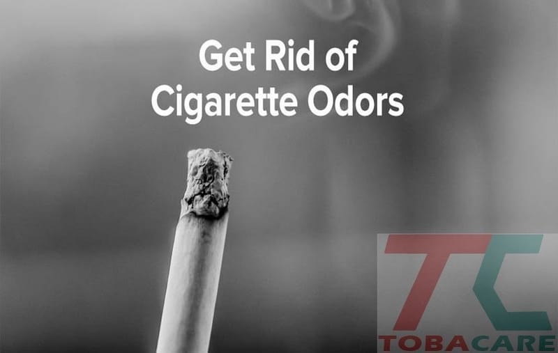 Tác Hại Của Thuốc Lá Ảnh Hưởng Đến Sức Khoẻ Mọi Người