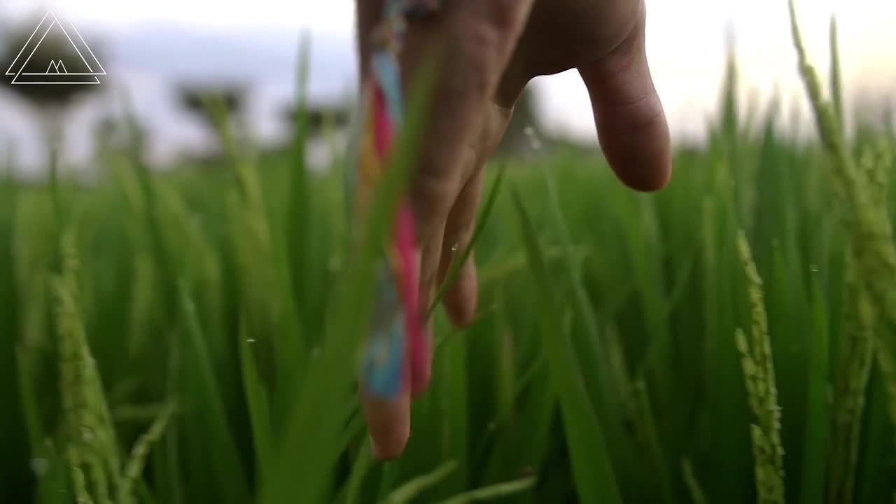 Fridays for Future movement