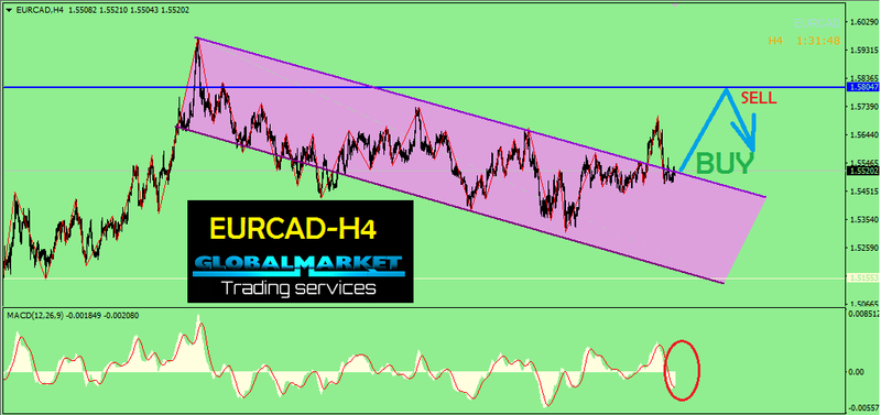 اليورو كندى - EURCAD
