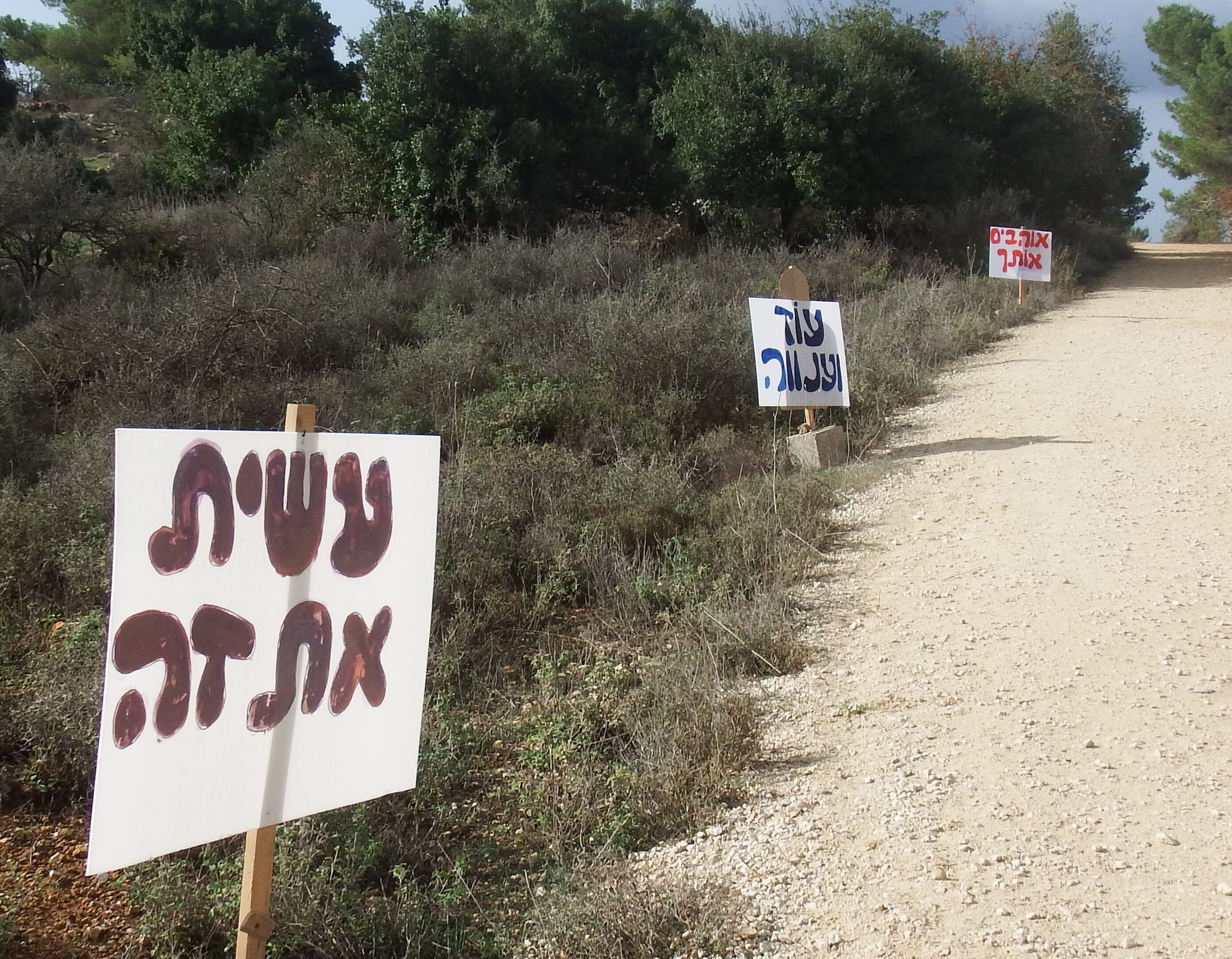 שיקולים בבניית תוכנית טיפול באתגר