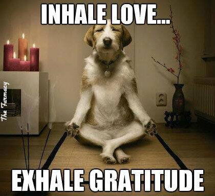 Update on my social media detox