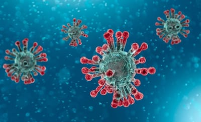 Coronavirus Update image