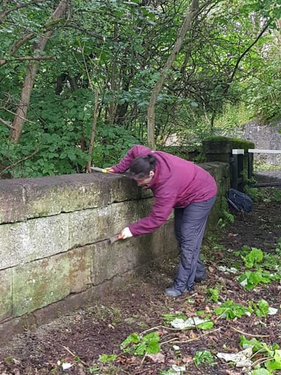 Volunteer Stone Mason