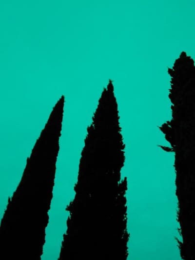 El del Reflejo (Stichwort)